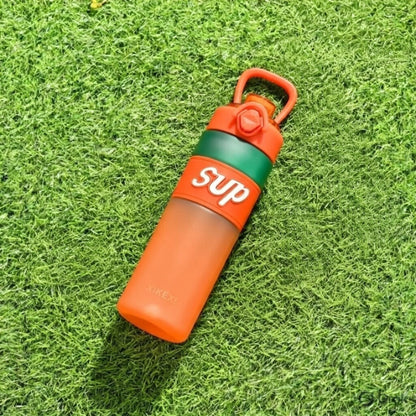 Insulated Water Bottle with Straw