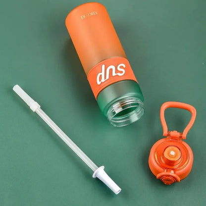 Insulated Water Bottle with Straw